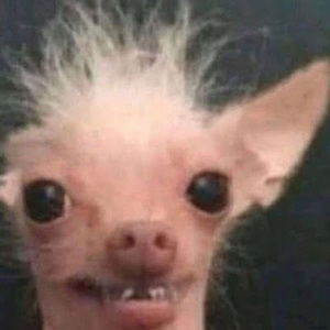 Meet your Posher, Chloe